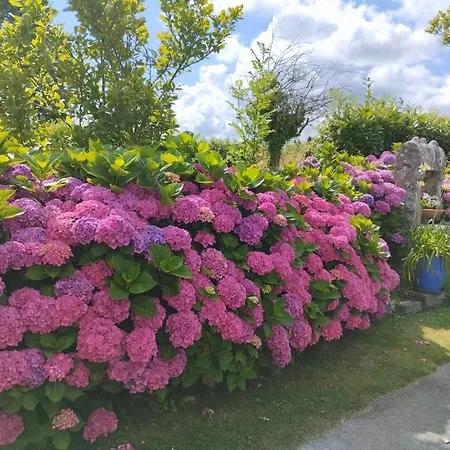 Proche De La Ria D'etel Holiday home